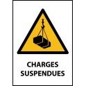 Panneau de Danger "Charges suspendues" Vinyle A5