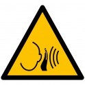 Pictogramme de Danger ISO 7010 "Bruit fort soudain" W038