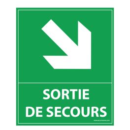 Panneau - Sortie De Secours- Flèche Bas À Droite - 300 X 250 Mm