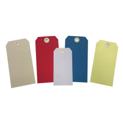 Étiquettes - Plaquette d'inspection - 35 x 70 mm - Papier - Lot de 1000