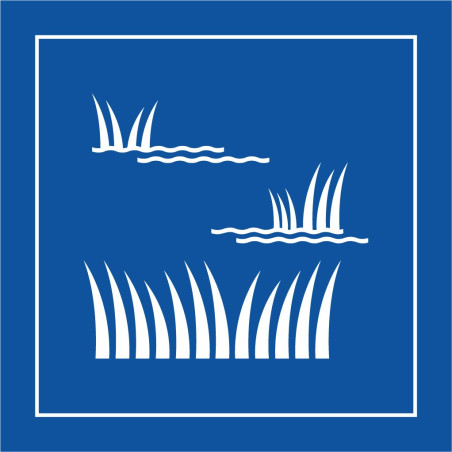 Pictogramme d'information - Zone humide - ISO 7001