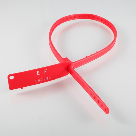 Scellés de Sécurité - STRAPSEAL - Plastique - par 100