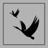 Signalétique d'information - Réserve ornithologique - ISO 7001