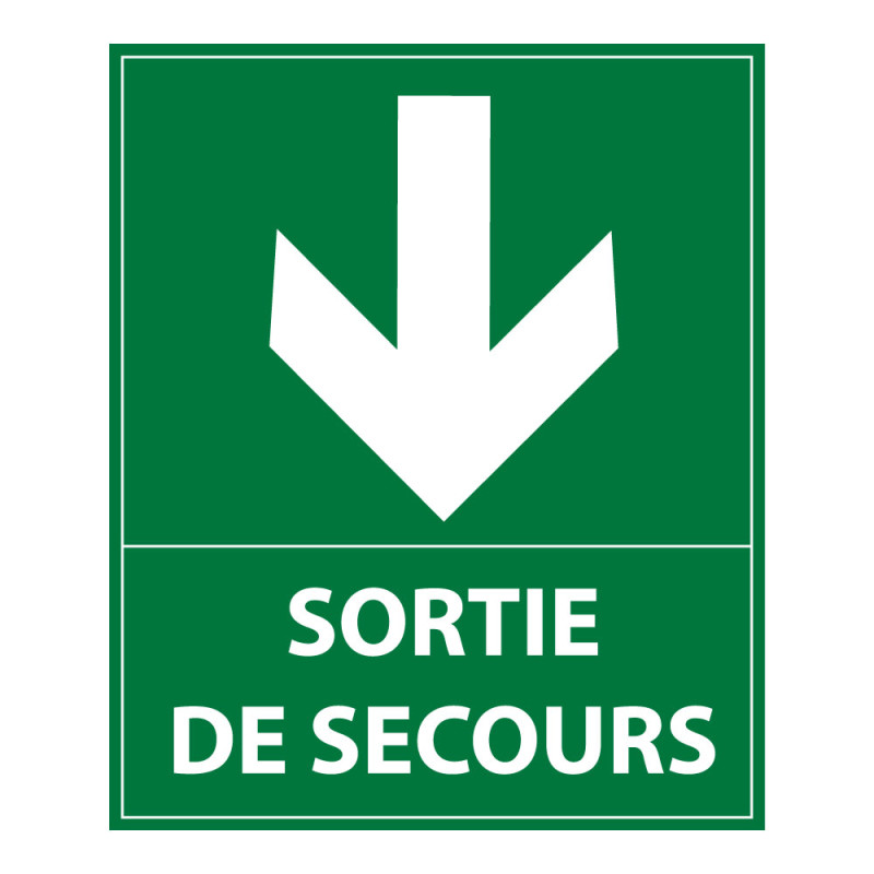 Panneau de signalisation - Sortie de secours - E002 - 250 x 300 mm