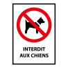 Panneau d'interdiction - Pictogramme Chiens interdits - ISO 7010
