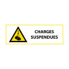Signalétique de danger - Picto Charges suspendues - W015 - ISO 7010