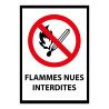Panneau d'interdiction - Flammes nues interdites - P003 - ISO 7010