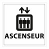Panneau d Information - Pictogramme Ascenseur - 250 x 250 mm